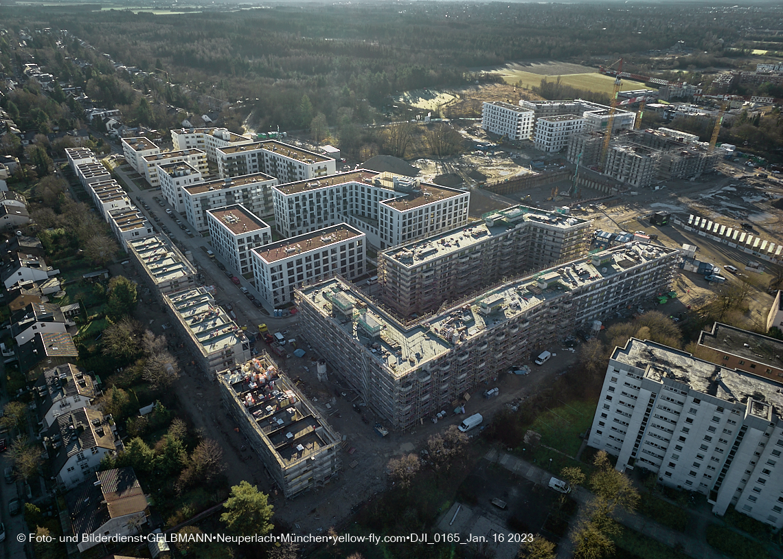 16.01.2023 - Alexisquartier und Pandion Verde